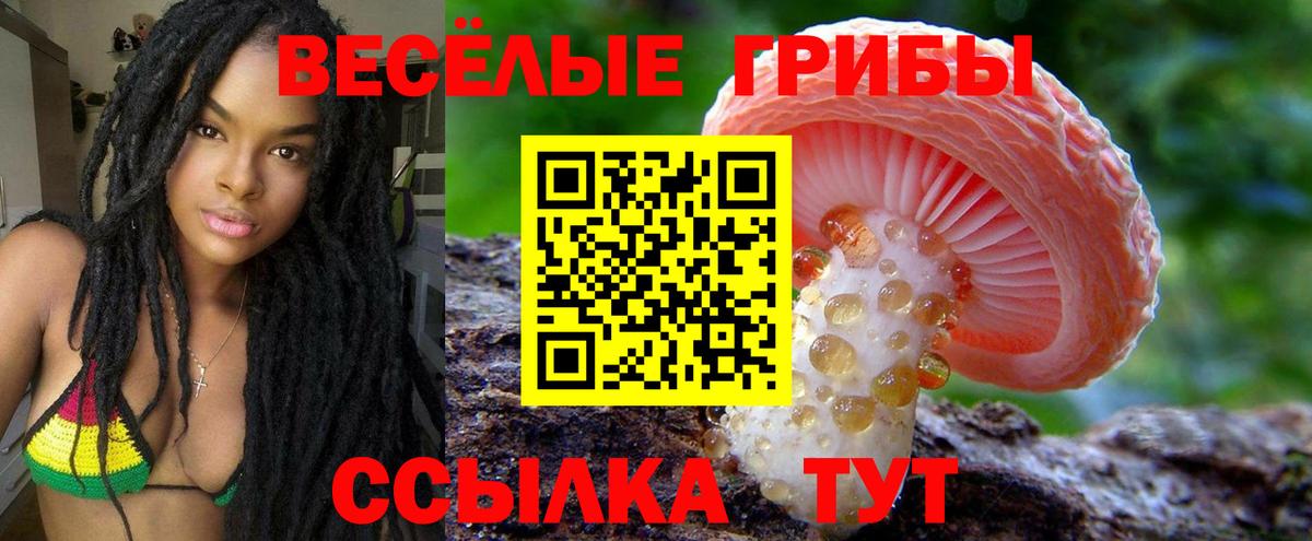 Псилоцибиновые грибы прущие грибы Новошахтинск