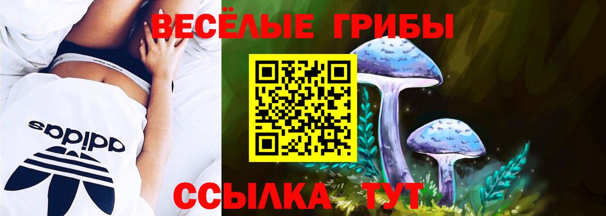 Галлюциногенные грибы Psilocybine cubensis  Вход с VPN  Новошахтинск 